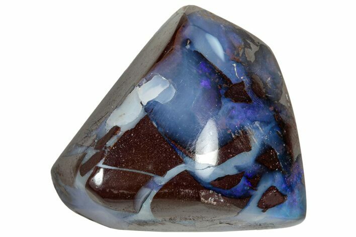 Galactic Boulder Opal Specimen - Queensland, Australia #314649